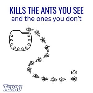 TERRO T334B Indoor Multi-Surface Liquid Ant Bait and Ant Killer - 4 Discreet Ant Bait Stations - Kills Common Household Ants