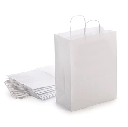 White Kraft Paper Bags with Handles Bulk - Gift Bags Medium Size for Paper Shopping Bags, Party Bags, and Bags for Small Business (8"x4.75"x10" - White Gift Bags Bulk Medium Size 25 Bags)