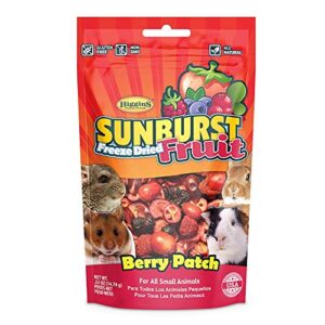 higgins sunburst gourmet natural treats - berry patch, 0.52 oz