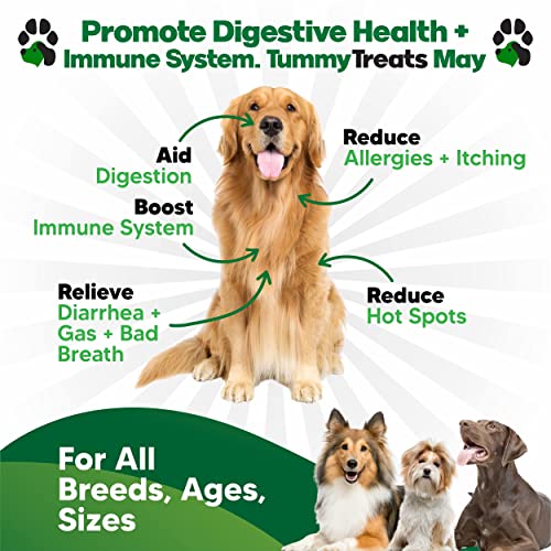 Probiotics for Dogs Digestive Health - Dog Probiotics and Digestive Enzymes - Allergy Relief for Dogs - Probiotic for Dogs Gut Health - Puppy Probiotic Tummy Treats - 120 Dog Probiotic Chews