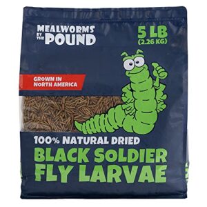 north american grown dried black soldier fly larvae (5 lbs) - more calcium than mealworms - treats for chickens, wild birds, & reptiles