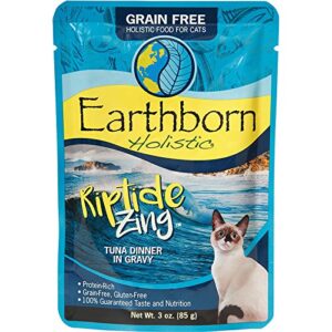 Earthborn Holistic Grain Free Wet Cat Food in Gravy Pouches - 3 Ounces Each - 3 Flavors - Riptide Zing, Autumn Tide, and Upstream Grill (12 Pouches Total)