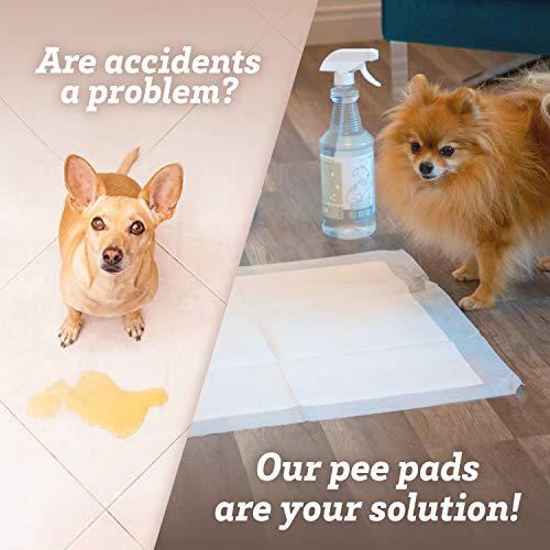 Puppy Pads Dog Pee Pad for Potty Training Dogs & Cats 22 x 22"- 100-Count Large