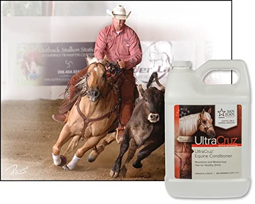 UltraCruz sc-395297 Equine Conditioner for Horses, 1 Gallon, White