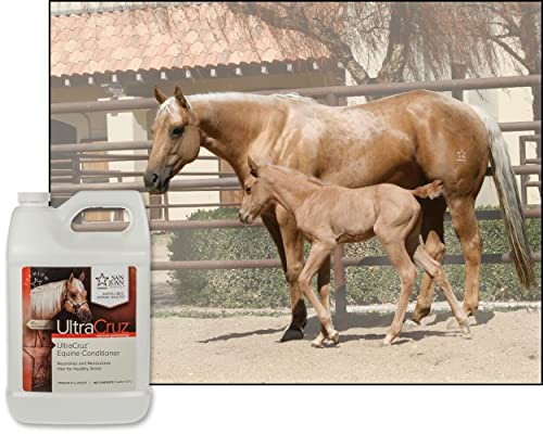 UltraCruz sc-395297 Equine Conditioner for Horses, 1 Gallon, White