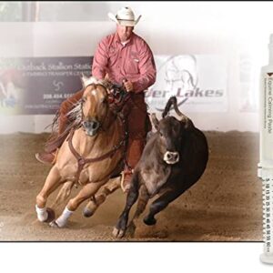 UltraCruz Equine Calming Supplement for Horses, 60 ml, Paste