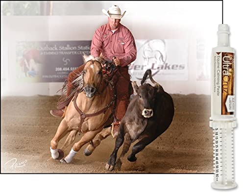 UltraCruz Equine Calming Supplement for Horses, 60 ml, Paste