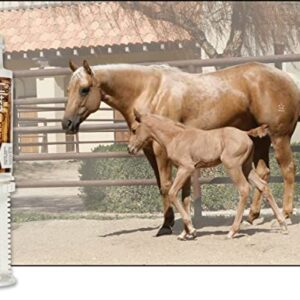 UltraCruz Equine Calming Supplement for Horses, 60 ml, Paste