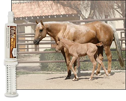 UltraCruz Equine Calming Supplement for Horses, 60 ml, Paste