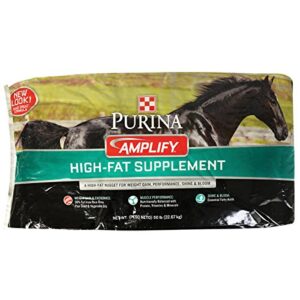 purina animal nutrition amplify equine supplement