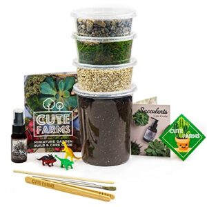 cute farms terrarium starter kit | moss, vermiculite, soil, pebbles, plant food, finishing tools, build and care guide | diy succulent terrarium kit for adults and kids (large kit)