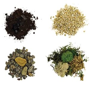 Cute Farms Terrarium Starter Kit | Moss, Vermiculite, Soil, Pebbles, Plant Food, Finishing Tools, Build and Care Guide | DIY Succulent Terrarium Kit for Adults and Kids (Large Kit)