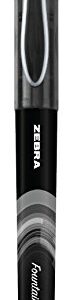 Zebra Pen Zensations Fountain Pen Set, Fine Point 0.6mm, Black Non-Toxic Ink, Stainless Steel Nib, Disposable, 2-Pack (04112)