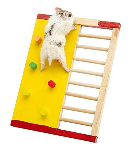 Hypeety Pet Hamster Colorful Wooden Climbing Wall and Ladder Molar Gerbil Rat Chinchillas Guinea Pig Small Animal Toy