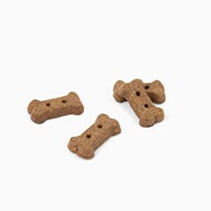 Jiminy's Cricket Treats - Hypoallergenic Dog Treats, 100% Made in The USA, Cricket Dog Treats, Gluten-Free, Sustainable, All Natural Dog Treats, High Protein - Peanut Butter & Blueberry, 6oz Bag