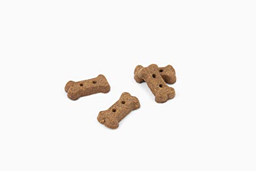 Jiminy's Cricket Treats - Hypoallergenic Dog Treats, 100% Made in The USA, Cricket Dog Treats, Gluten-Free, Sustainable, All Natural Dog Treats, High Protein - Peanut Butter & Blueberry, 6oz Bag