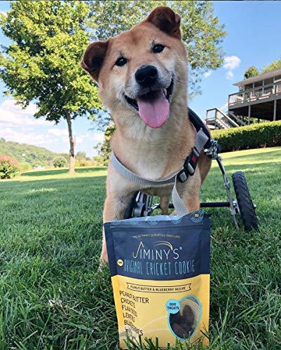 Jiminy's Cricket Treats - Hypoallergenic Dog Treats, 100% Made in The USA, Cricket Dog Treats, Gluten-Free, Sustainable, All Natural Dog Treats, High Protein - Peanut Butter & Blueberry, 6oz Bag