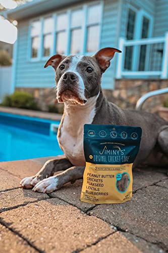 Jiminy's Cricket Treats - Hypoallergenic Dog Treats, 100% Made in The USA, Cricket Dog Treats, Gluten-Free, Sustainable, All Natural Dog Treats, High Protein - Peanut Butter & Blueberry, 6oz Bag