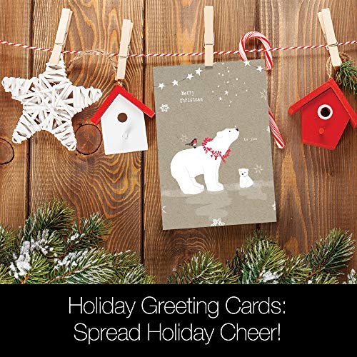 Tree-Free Greetings Holiday Greeting Cards, Polar Bear Merry Christmas, Vintage Brown Recycled Paper, Boxed Note Card Set, 10-Pack (HB93300)