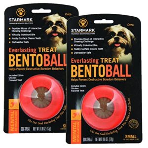 starmark 2 pack of everlasting treat bento balls, small, puzzle toys for dogs under 15 pounds
