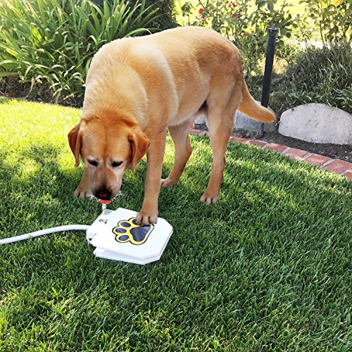 Outdoor Dog Water Fountain - Step On Dog Water System - Our Water Dispenser For Dogs Provides A Safe Self Watering Doggie Fountain For Your Pets - Never Leave Your Dog Without Fresh Water Again