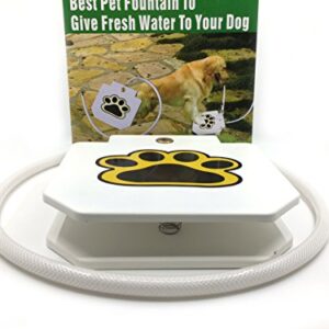 Outdoor Dog Water Fountain - Step On Dog Water System - Our Water Dispenser For Dogs Provides A Safe Self Watering Doggie Fountain For Your Pets - Never Leave Your Dog Without Fresh Water Again