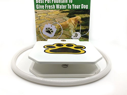 Outdoor Dog Water Fountain - Step On Dog Water System - Our Water Dispenser For Dogs Provides A Safe Self Watering Doggie Fountain For Your Pets - Never Leave Your Dog Without Fresh Water Again