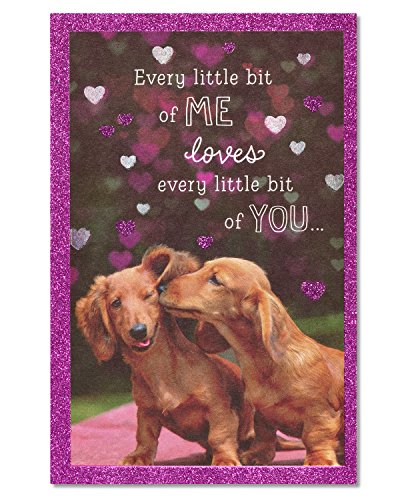 American Greetings Romantic Birthday Card (Dachshunds)