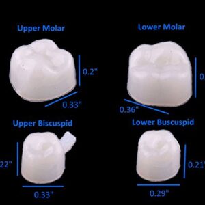 100 PCS Mixed Dental Temporary Crown Kit Anterior Front and Molar Posterior + Maximum Strength Dental Temporary Cement Loose Caps Repair