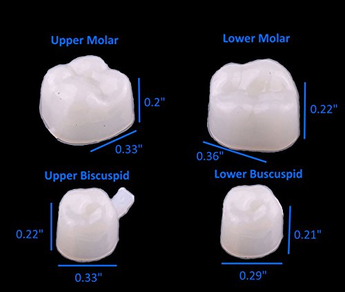 100 PCS Mixed Dental Temporary Crown Kit Anterior Front and Molar Posterior + Maximum Strength Dental Temporary Cement Loose Caps Repair