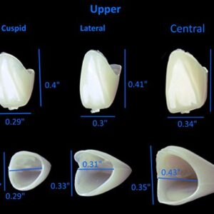 100 PCS Mixed Dental Temporary Crown Kit Anterior Front and Molar Posterior + Maximum Strength Dental Temporary Cement Loose Caps Repair