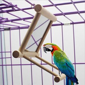 bird mirror bird swing, parrot cage toys,swing hanging play with mirror for macaw african greys parakeet cockatoo cockatiel conure lovebirds canaries by old tjikko，1 pc (3.7x3.5 x3.5inch)