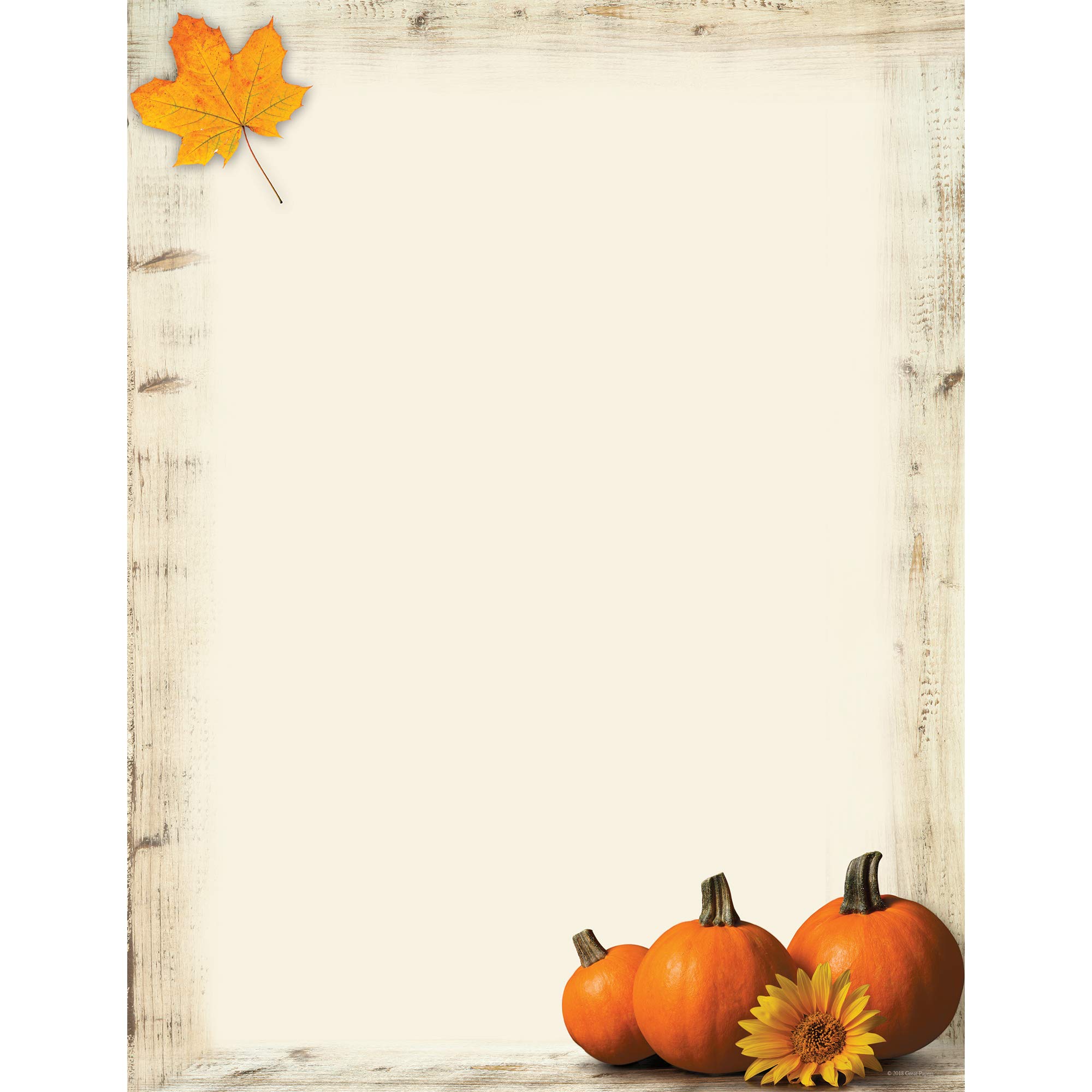 Great Papers! Pumpkin Sunflower Letterhead, 80 count, 11" x 8.5" (2017014)