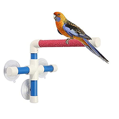 Hypeety Portable Suction Cup Bird Window and Shower Perch Toy for Bird Parrot Macaw Cockatoo African Greys Budgies Parakeet Bath Perch Toy