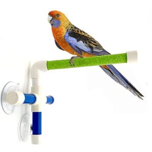 hypeety portable suction cup bird window and shower perch toy for bird parrot macaw cockatoo african greys budgies parakeet bath perch toy