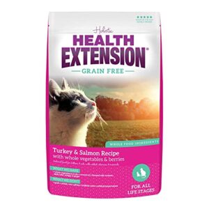 health extension dry cat food, natural food with added vitamins & minerals, suitable for all kittens & adult cats, turkey & salmon recipe with whole vegetable & berries (1 pound / 0.4 kg)