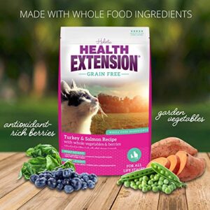 Health Extension Dry Cat Food, Natural Food with Added Vitamins & Minerals, Suitable for All Kittens & Adult Cats, Turkey & Salmon Recipe with Whole Vegetable & Berries (1 Pound / 0.4 kg)