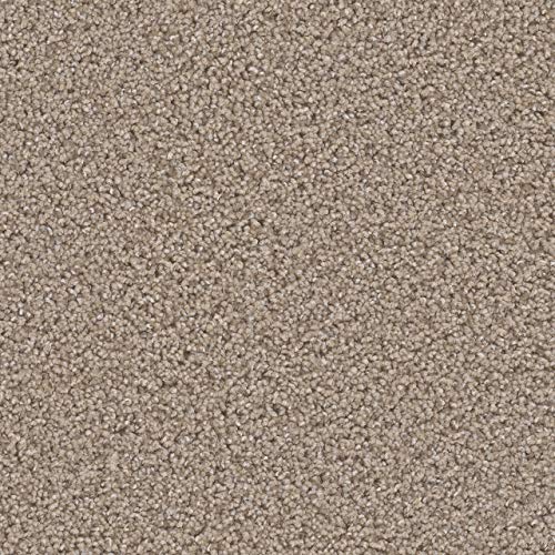 KOECKRITZ Sample Swatch (Unbound) - Speckled Elk - ECONOMICAL Solutions Collection | 25 Oz. Soft Textured 100% PureColor BCF Polyester. FHA Approved-CRI Green Label-Made in U.S.A.