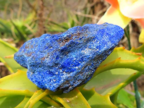 StarStuff.Rocks Crystal and Mineral Specimens: Natural Azurite