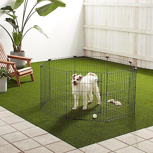 Amazon Basics Foldable Octagonal Metal Exercise Pet Play Pen for Dogs, Fence Pen, Single Door, Black, 60 x 60 x 30 Inches