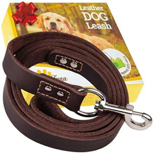 adityna leather dog leash 6 ft x 3/4 inch - soft and strong leather leash for large and medium dog breeds - heavy duty dog training leash (brown)