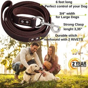 ADITYNA Leather Dog Leash 6 ft x 3/4 inch - Soft and Strong Leather Leash for Large and Medium Dog Breeds - Heavy Duty Dog Training Leash (Brown)