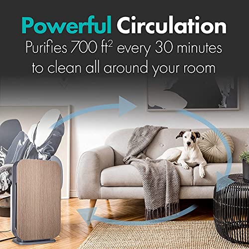 Alen BreatheSmart FLEX HEPA Air Purifier, Medical Grade Filtration H13 True HEPA for 700 SqFt, 99.9% Airborne Particle Removal, Air Purifier for Allergens, Dust, Mold, Pet Dander, Heavy Odors, (White)