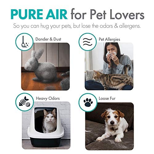 Alen BreatheSmart FLEX HEPA Air Purifier, Medical Grade Filtration H13 True HEPA for 700 SqFt, 99.9% Airborne Particle Removal, Air Purifier for Allergens, Dust, Mold, Heavy Odors, (Graphite)