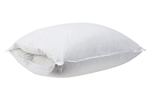 DownTown Company Removable Interchangeable Core Polyfill Pillow, Queen, White