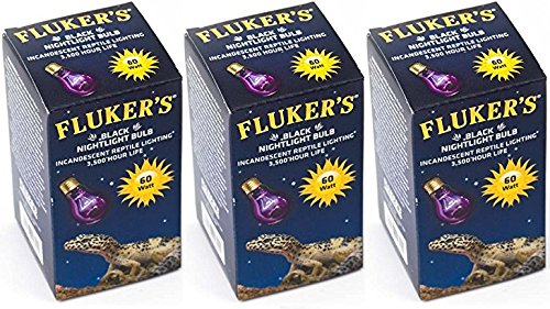 (3 Pack) Fluker's Black Nightlight Bulbs for Reptiles 60 watt