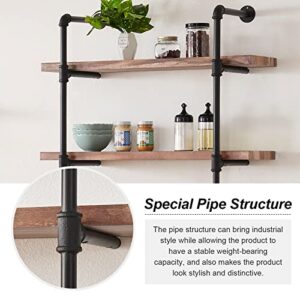 HOMISSUE 2-Shelf Rustic Pipe Shelving Unit, Vintage Industrial Pipe Wall Shelf, Retro Brown