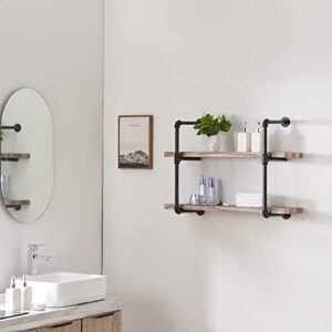 HOMISSUE 2-Shelf Rustic Pipe Shelving Unit, Vintage Industrial Pipe Wall Shelf, Retro Brown