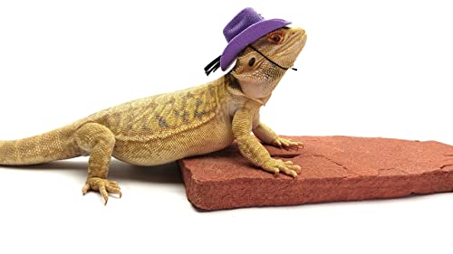 Carolina Designer Dragons' Bearded Dragon Cowboy Hat, Purple