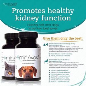 AminAvast Kidney Support Supplement for Cats and Dogs, 300mg - Promotes Natural Kidney Function - Aids in Health and Vitality of Aging Kidneys - Easily Administered - 60 Sprinkle Capsules